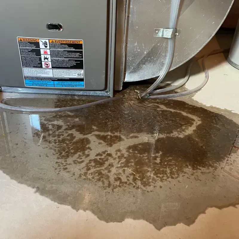 Appliance Leak Cleanup in Dos Palos, CA